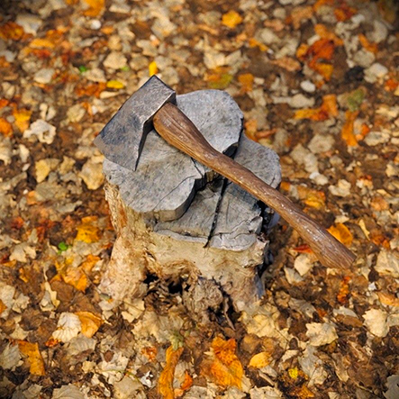 And here it is, waiting to be picked by a woodcutter in your favorite open world RPG
